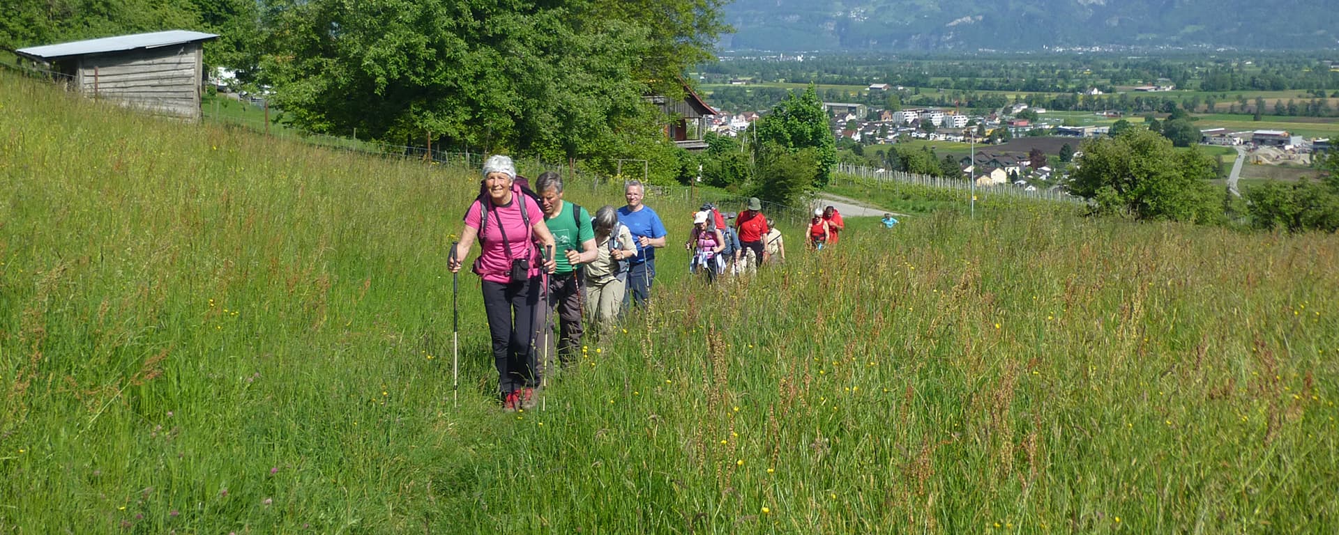 Wandergruppe in Wiese
